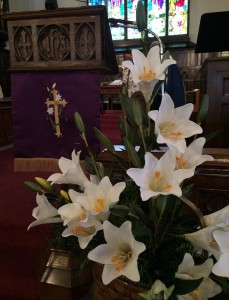 16Easter-Lillies